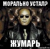 морально устал? жумарь