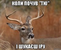 коли почув "тю" і шукаєш іру