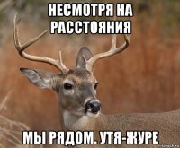 несмотря на расстояния мы рядом. утя-журе