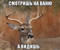 смотришь на ваню а видишь...