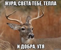 жура, света тебе, тепла и добра. утя