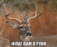  флаг вам в руки