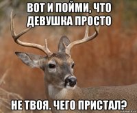 вот и пойми, что девушка просто не твоя. чего пристал?