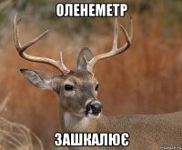 оленеметр зашкалює