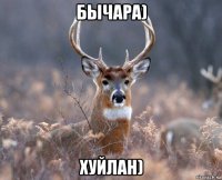 бычара) хуйлан)