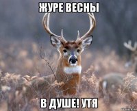 журе весны в душе! утя