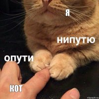 я кот