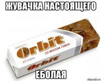 жувачка настоящего еболая