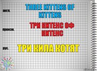 Three kittens of kittens Три китенс оф китенс Три кила котят