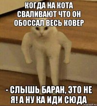 когда на кота сваливают что он обоссал весь ковер - слышь баран, это не я! а ну ка иди сюда