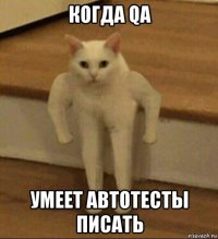 когда qa умеет автотесты писать