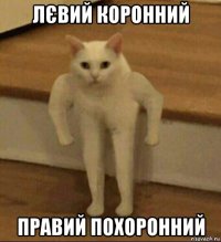 лєвий коронний правий похоронний