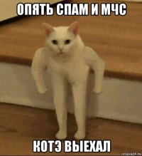 опять спам и мчс котэ выехал