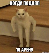 когда поднял 10 арену