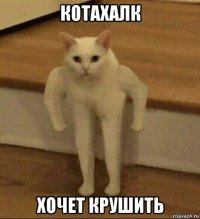 котахалк хочет крушить