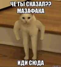 че ты сказал?? мазафака иди сюда