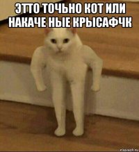 этто точьно кот или накаче ные крысафчк 