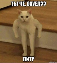 ты че, охуел?? питр