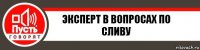 Эксперт в вопросах по сливу