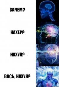 Зачем? Нахер? НАХУЙ? ВАСЬ, НАХУЯ?