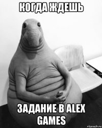 когда ждешь задание в alex games