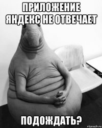 приложение яндекс не отвечает подождать?