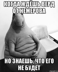 когда ждёшь верд от немерова но знаешь, что его не будет