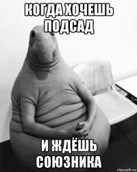 когда хочешь подсад и ждёшь союзника