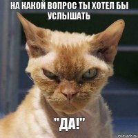 НА КАКОЙ ВОПРОС ТЫ ХОТЕЛ БЫ УСЛЫШАТЬ "ДА!"