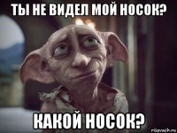 ты не видел мой носок? какой носок?