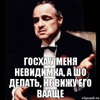 Госха у меня невидимка, а шо делать, не вижу его вааще