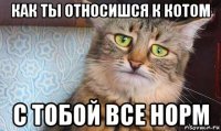 как ты относишся к котом с тобой все норм