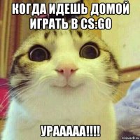 когда идешь домой играть в cs:go урааааа!!!!