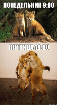 понедельник 9:00 пятница 19:00