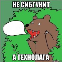 не сибгунит а технолага