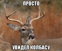 просто увидел колбасу