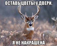 оставь цветы у двери, я не накрашена