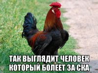  так выглядит человек который болеет за ска