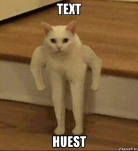 text huest