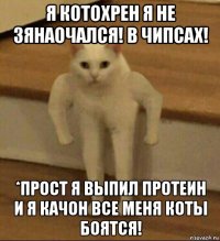 я котохрен я не зянаочался! в чипсах! *прост я выпил протеин и я качон все меня коты боятся!