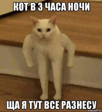 кот в 3 часа ночи ща я тут все разнесу