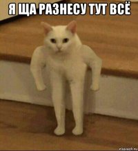 я ща разнесу тут всё 