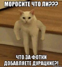 моросите что ли??? что за фотки добавляете дурацкие?!