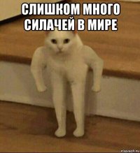 слишком много силачей в мире 