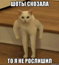 шоты скозала то я не рослишил