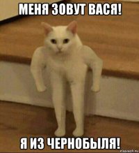 меня зовут вася! я из чернобыля!