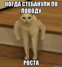 когда стебанули по поводу роста