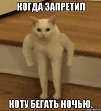 когда запретил коту бегать ночью.