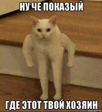 ну че показый где этот твой хозяин