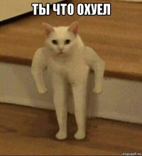 ты что охуел 